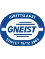 格耐斯特