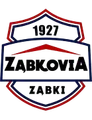 维亚扎布二队
